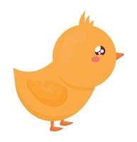 kawaii chick design vector