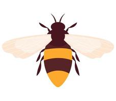 colored bee design vector