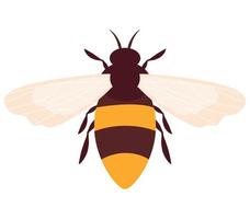 colored bee design vector