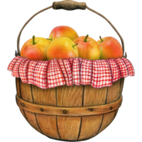 waterverf hand- getrokken realistisch appels png