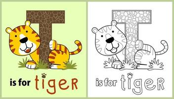aprender a deletrear de tigre nombre, vector dibujos animados ilustración, colorante página o libro