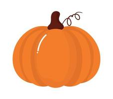 grande calabaza diseño vector