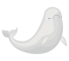 gray beluga illustration vector