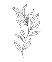 beatiful classical branch vector