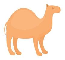 adorable camello diseño vector
