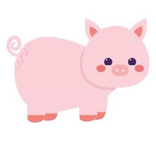 cute colorful pig vector