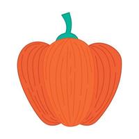 ilustración de calabaza naranja vector