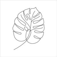 Monstera delicosa plant leaf in linear drawing icon. Monstera linear icon. Monstera leaf line art. Vector illustration