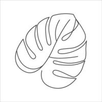 Monstera delicosa plant leaf in linear drawing icon. Monstera linear icon. Monstera leaf line art. Vector illustration