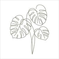 Monstera delicosa plant leaves in linear drawing icon. Monstera plant in a pot linear icon. Monstera leaves line art. Vector illustration