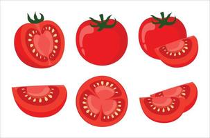 Tomato icon vector illustrations. Fresh and ripe tomato set. Half a tomato, a slice of tomato, whole tomato icon set. Vector illustration