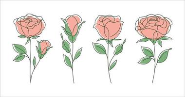 Set of 4 Roses line art drawing. Decorative beautiful roses flower with thin line art style. Minimalist set of roses illustration. Vector illustration