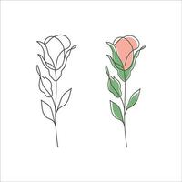 Rose flower linear drawing. Decorative beautiful rose flower with thin line. Minimalist rose illustration. Vector illustration