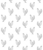 Vector seamless pattern of hand drawn chicken hen