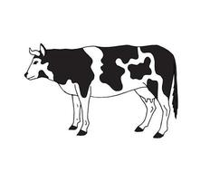 Vector hand drawn doodle sketch cow