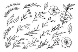 Hand drawn leaves and flowers collection organic floral decorative vector