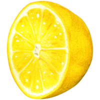 vattenfärg citron- illustration isolerat png