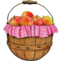 watercolor hand drawn realistic apples png