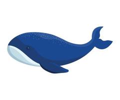 colored blue whale vector