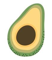 avocado fruit design vector