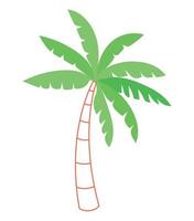 beach palm design vector