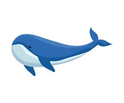Blue Whale Vector Art, Icons, and Graphics for Free Download