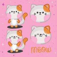 four cats set vector