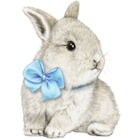watercolor hand drawn realistic bunny png