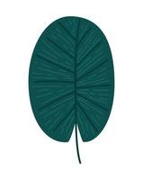 round green leaf vector