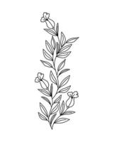 flower branch design vector