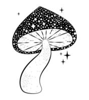 bright black mushroom vector