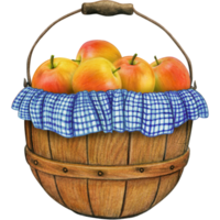 watercolor hand drawn realistic apples png