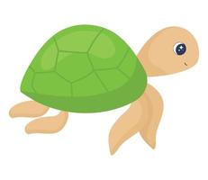 marine turtle design vector