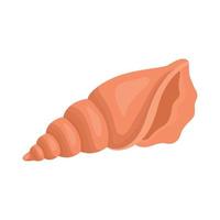 beautiful seashell design vector