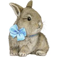 watercolor hand drawn realistic bunny png