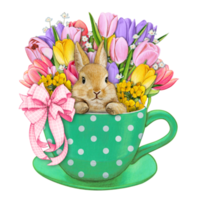 Watercolor hand drawn cute bunny in a tea cup png