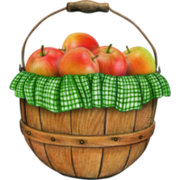 watercolor hand drawn realistic apples png