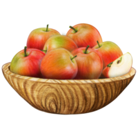 watercolor hand drawn realistic apples png