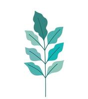 natural branch leaf vector