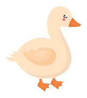 kawaii duck design vector