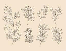 Siete plantas flores vector