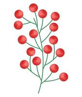 mistletoe branch with berries vector