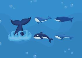 colored whales set vector