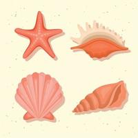 seashells and starfish vector