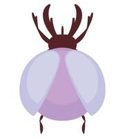 colored scarab design vector