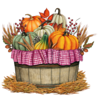 Watercolor harvest pumpkin basket decoration png