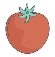 grande tomate diseño vector