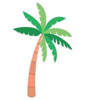 beach palm illustration vector