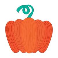 bright pumpkin design vector