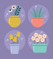 plants on pots vector